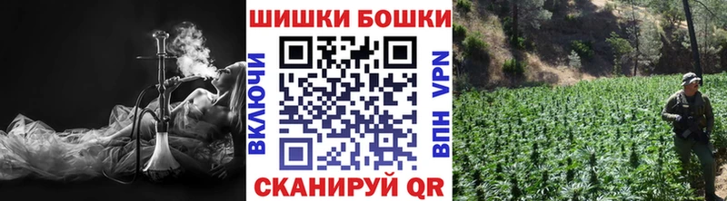 где купить   блэк спрут как войти  Конопля LSD WEED  Москва 